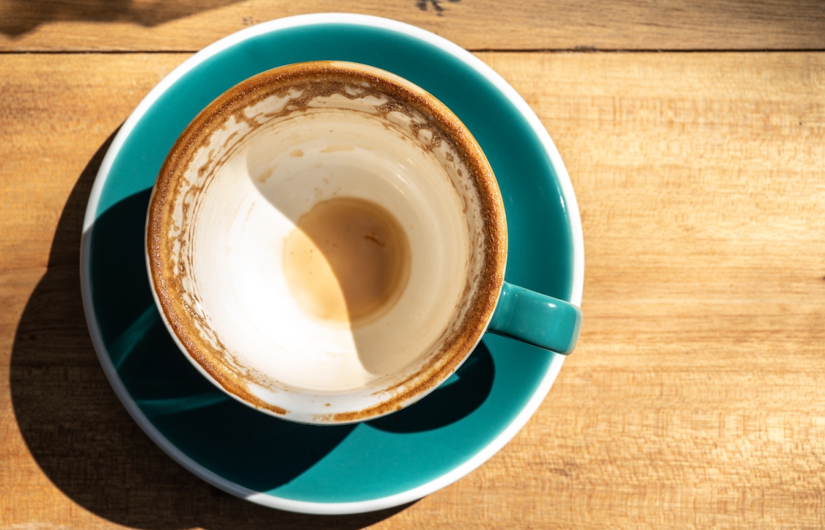 Cree un modelo financiero de abajo hacia arriba para mostrar a los inversores potenciales que habla en serio