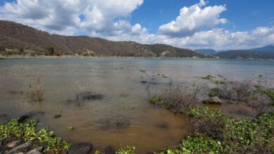 Cutzamala sigue secándose, pese a 'bombardeo' de nubes