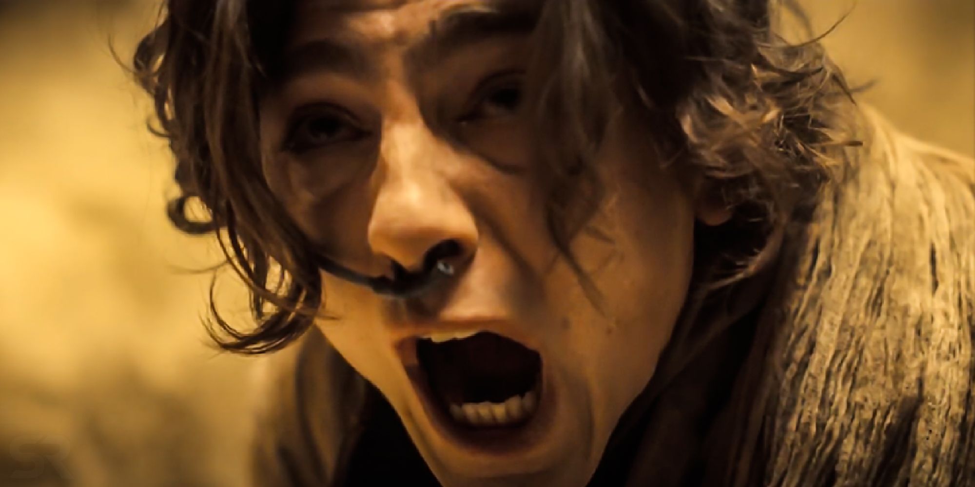 Timothee Chalamet is Paul Atreides screaming in the new Dune movie