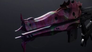Destiny 2 Acasia's Dejection God Roll