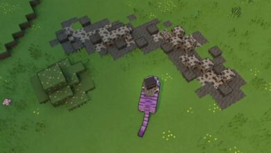 Minecraft Legends Coal Resource Found in Certain Biomes in the Wild