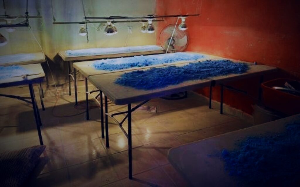 EU anuncia que reforzará su lucha contra el fentanilo