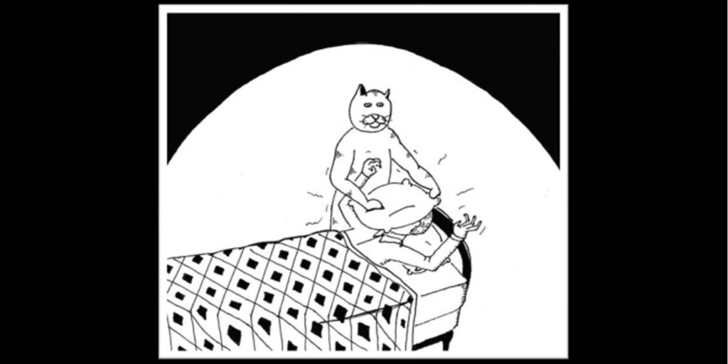 Bunkbed Mishaps Cover