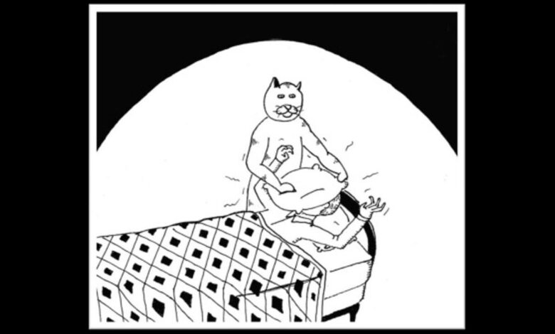 Bunkbed Mishaps Cover