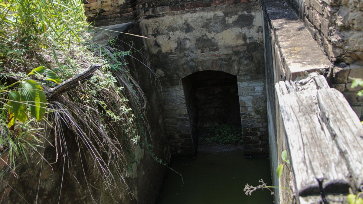 El horror de los hornos crematorios en Colombia