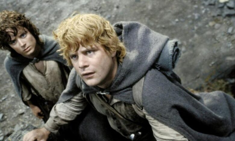 Frodo standing behind Sam as they look serious in Lord Of The Rings