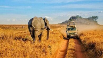 Estos son los 20 destinos naturales mejor valorados del mundo: hay 2 en España