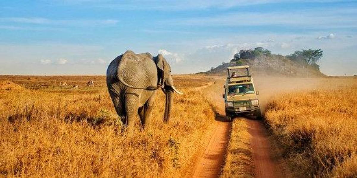 Estos son los 20 destinos naturales mejor valorados del mundo: hay 2 en España