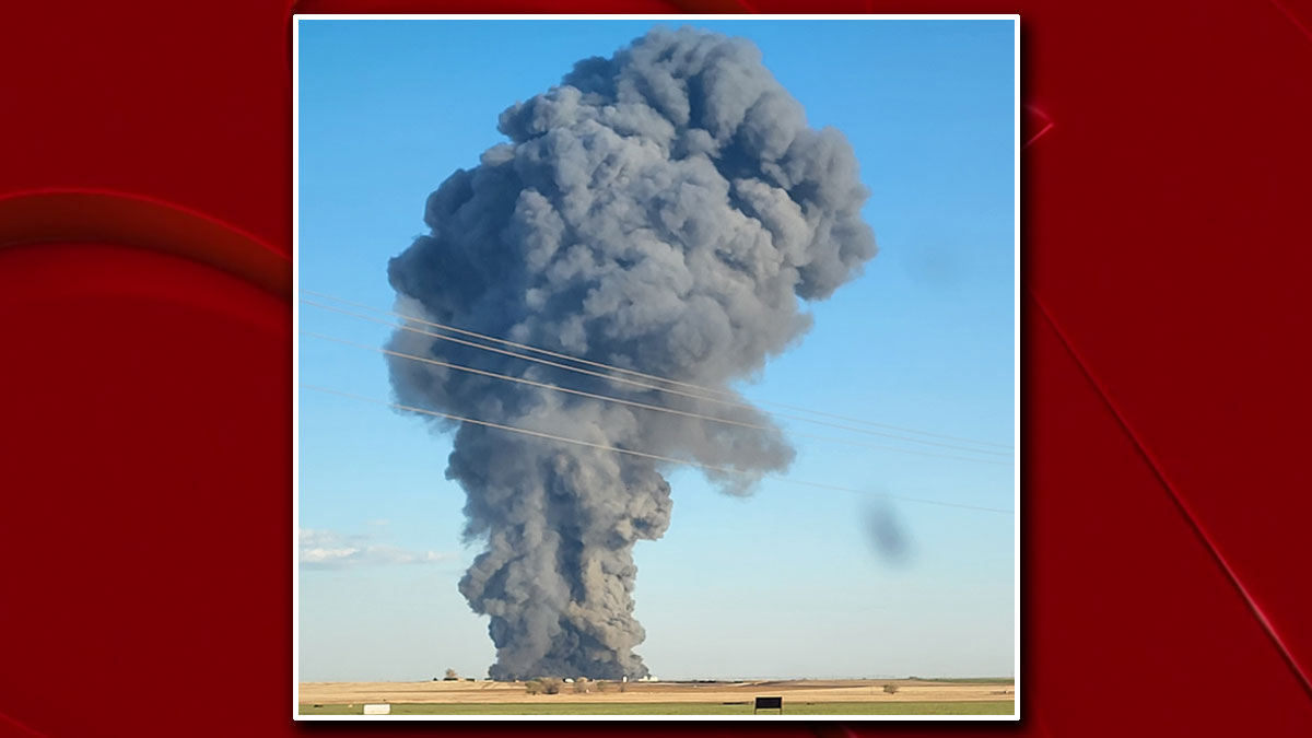 Explosión en una granja en Texas deja miles de vacas lecheras muertas