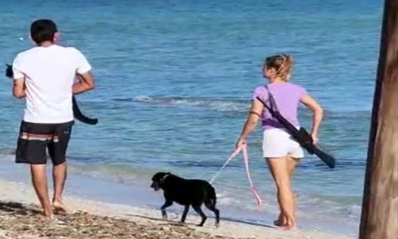 Extranjera carga rifle en playa de Yucatán y alarma a turistas