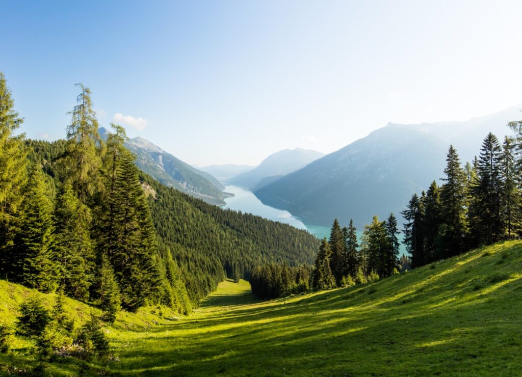 Forest Admin lanza la versión en la nube de su generador de herramientas interno de código bajo