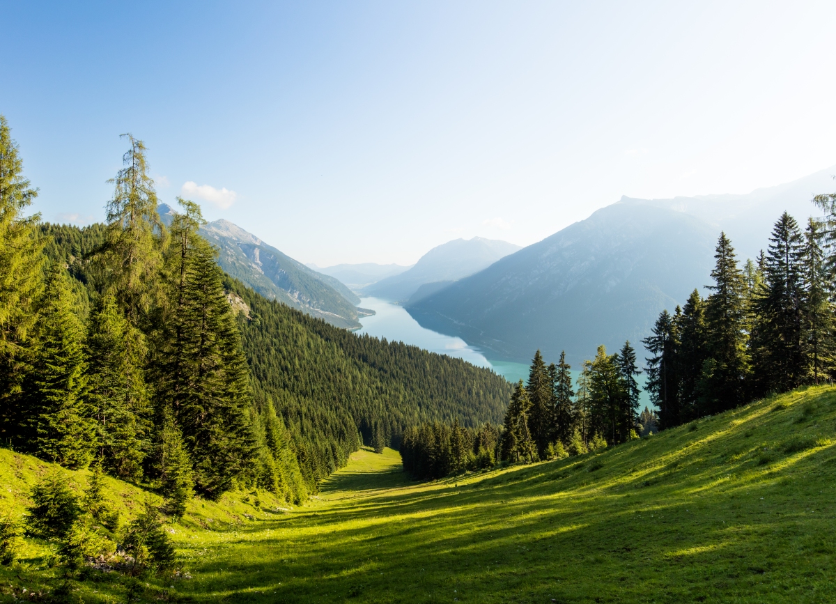 Forest Admin lanza la versión en la nube de su generador de herramientas interno de código bajo