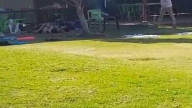 Grupo armado mata a 7 personas en balneario de Guanajuato | Video
