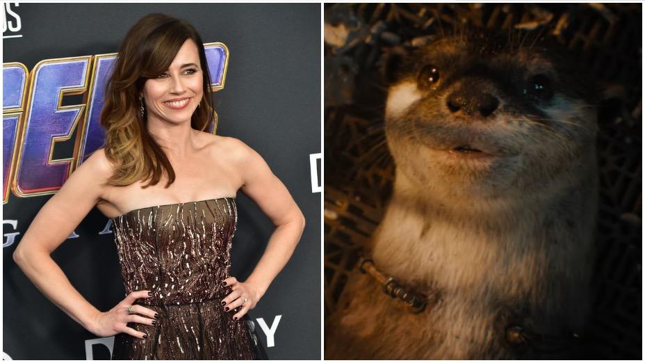 vol-3-linda-cardellini-lylla-nutria.jpg