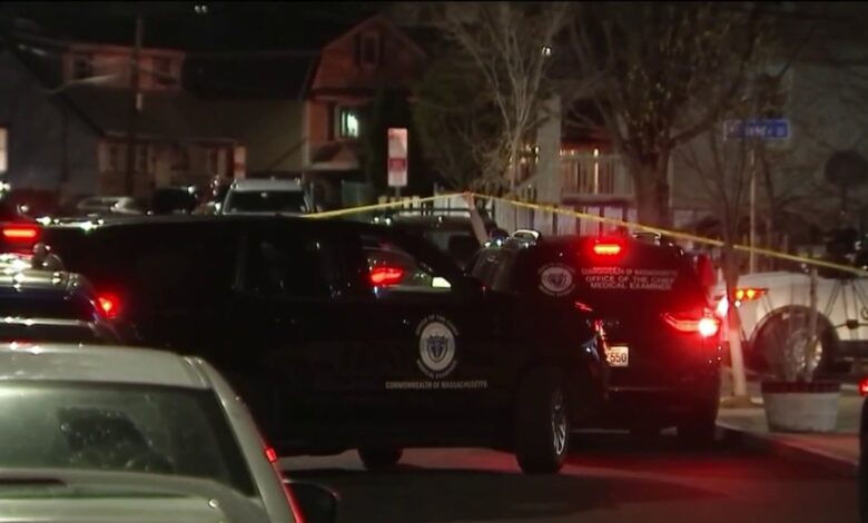 Hallan posibles restos de un bebé en Revere MA