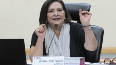 Impugna PAN elección de Guadalupe Taddei como Consejera Presidenta del INE