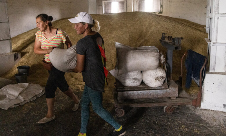 La UE extiende la exención arancelaria para el grano ucraniano, a pesar de algunas protestas