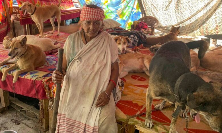“La señora de los perros”: vecindario dividido por anciana que cuida a más de 200 animales