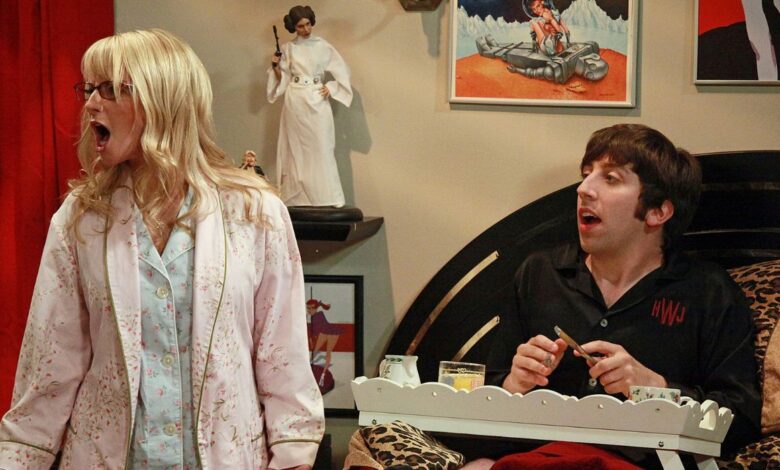 Howard and Bernadette arguing with his mom on TBBT