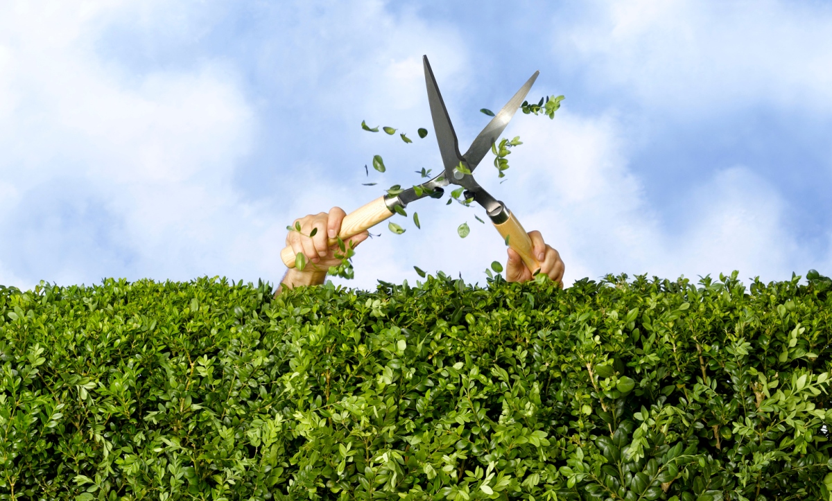 Las nuevas empresas en etapa avanzada están aprendiendo a gastar menos