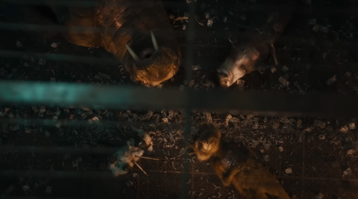 Lo último en Guardianes de la Galaxia Vol.  3 clip deja a los fanáticos sollozando