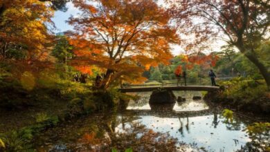 Los jardines más bonitos del mundo que debes visitar