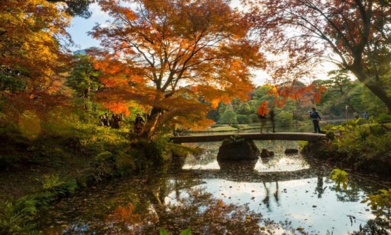 Los jardines más bonitos del mundo que debes visitar