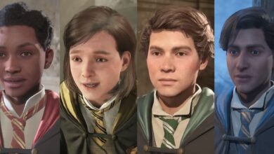 Close-up shots of Natsai Onai, Poppy Sweeting, Sebastian Sallow, and Amit Thakkar in Hogwarts Legacy.