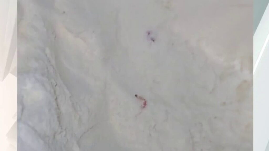 Madre de Texas halla gusanos en la fórmula para bebé que tomaba su hijo