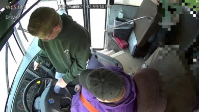 Niño para bus escolar tras desmayo de conductora en Michigan