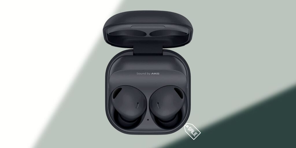 Samsung Galaxy Buds 2 Pro in Graphite color
