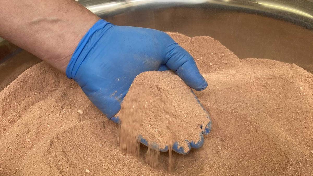 NovoNutrients quiere convertir el CO2 en proteína