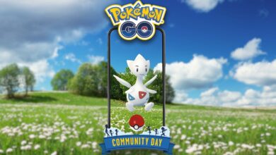 Togetic Community Day Pokémon Go on a grassy field
