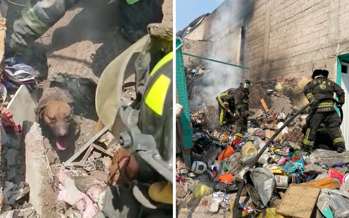 Rescatan a Randy, perro atrapado en escombros por explosión en Iztapalapa | Video