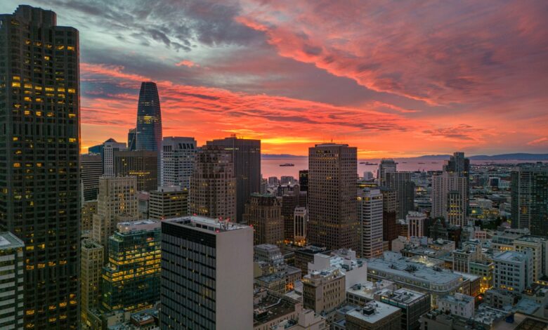 Resumen de TechCrunch+: verificación de la realidad de #OpenToWork, lanzamiento sin plataforma, lecciones de crecimiento de ARR
