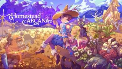 Homestead Arcana Key Art showing the protagonist and their cat sitting on a rock with produce overlooking a valley.