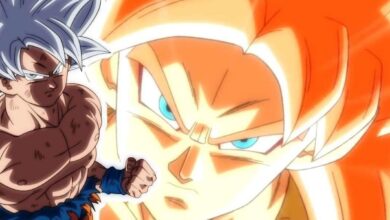 SSJ4 Gogeta and Ultra Instinct Goku.