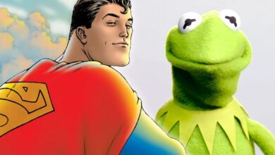 Superman and Kermit DC Comics