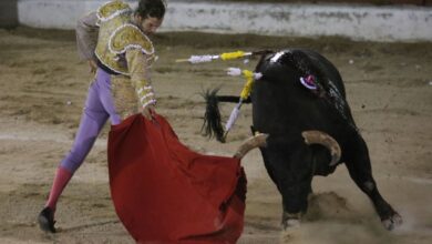 Suspenden corridas de toros en feria de San Cristóbal de las Casas