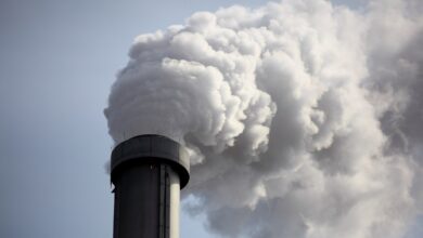Tanso deposita una semilla para su software de huella de CO2 para fabricantes industriales