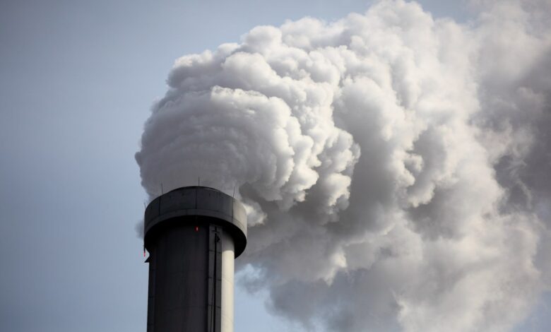 Tanso deposita una semilla para su software de huella de CO2 para fabricantes industriales