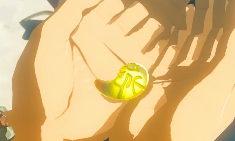 Zelda holding a yellow Tear in The Legend of Zelda: Tears of the Kingdom.