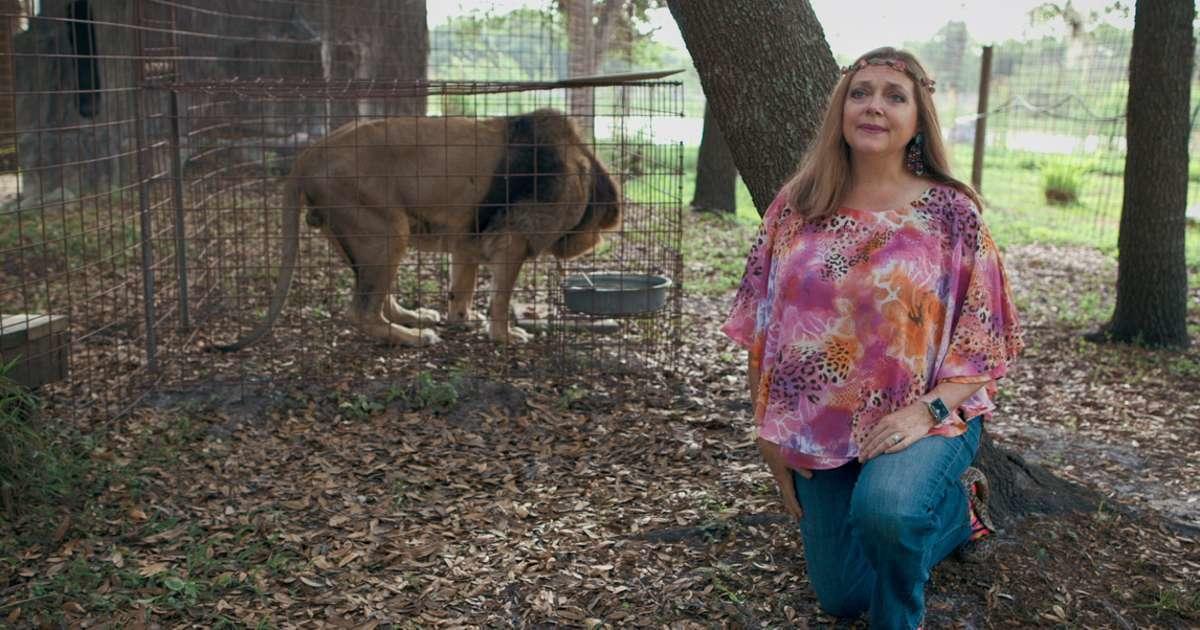 ‘Tiger King’: Carole Baskin cierra rescate de grandes felinos y vende terrenos