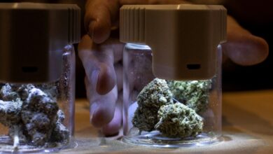 Uber Eats ya entrega a domicilio marihuana en Canadá