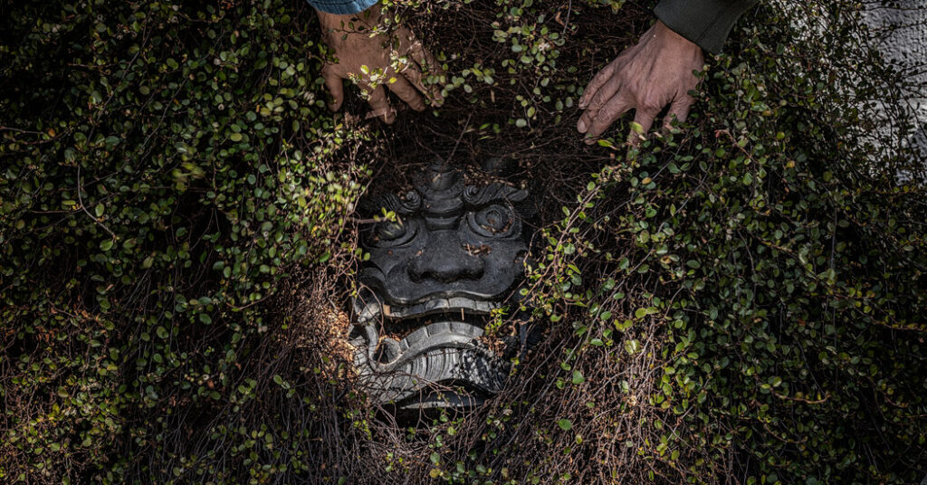 Una isla japonesa donde están las cosas salvajes