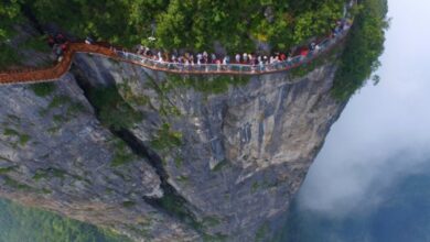 Una mujer y tres hombres se suicidan en la montaña Tianmen, conocida por inspirar 'Avatar'