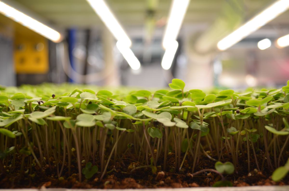 hacia arriba y adelante