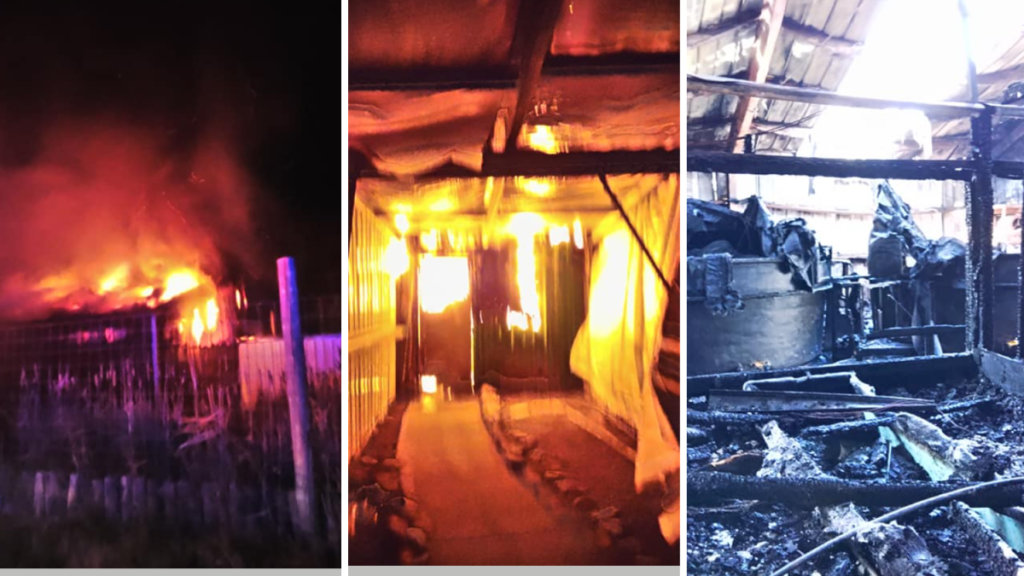 incendio mata a múltiples animales