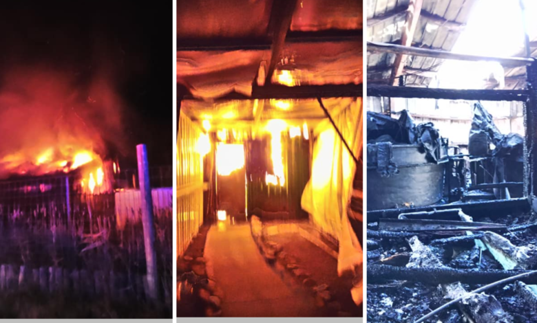 incendio mata a múltiples animales