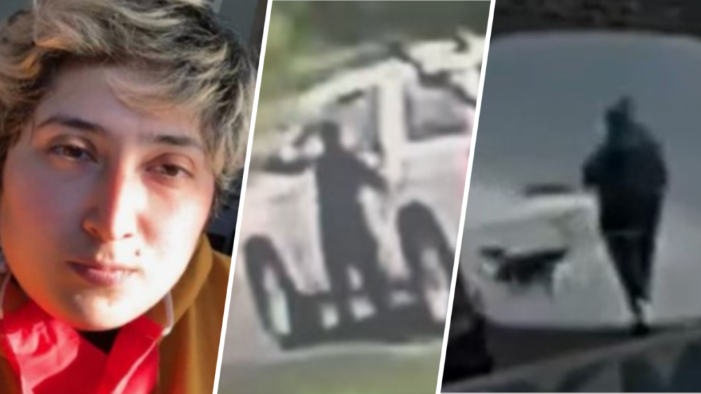 nuevo video muestra el secuestro de Mónica de Léon Barba